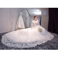 Q015 Fancy Women Dress Sexy Illusion Bodice Sweetheart Back Long Tail Lace Long sleeves Wedding Dress